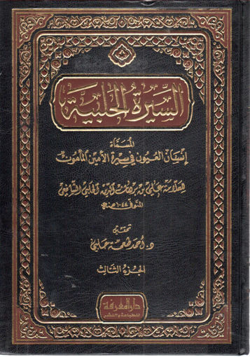 صورة السيرة الحلبية المسماه إنسان العيون في سيرة الأمين المأمون 3/3