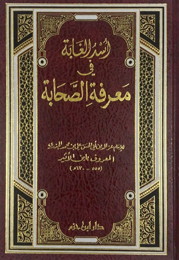 صورة اسد الغابة - مجلد واحد