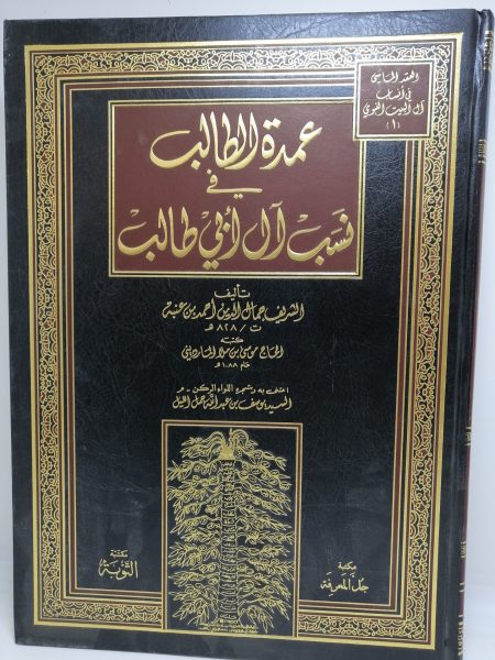 الدول الاسلامية في اسيا