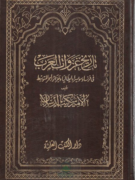 تاريخ غزوات العرب في فرنساوسويسراوايطالياوجزائرالبحر