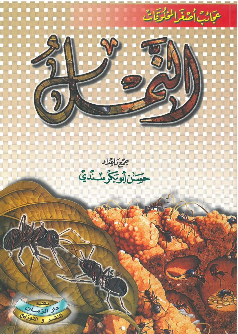 عجائب أصغر المخلوقات النمل