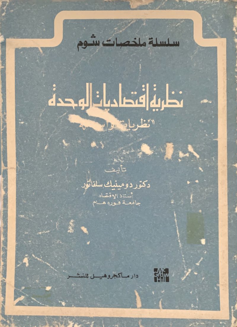 نظرية اقتصاديات الوحدة نظريات وأسئله