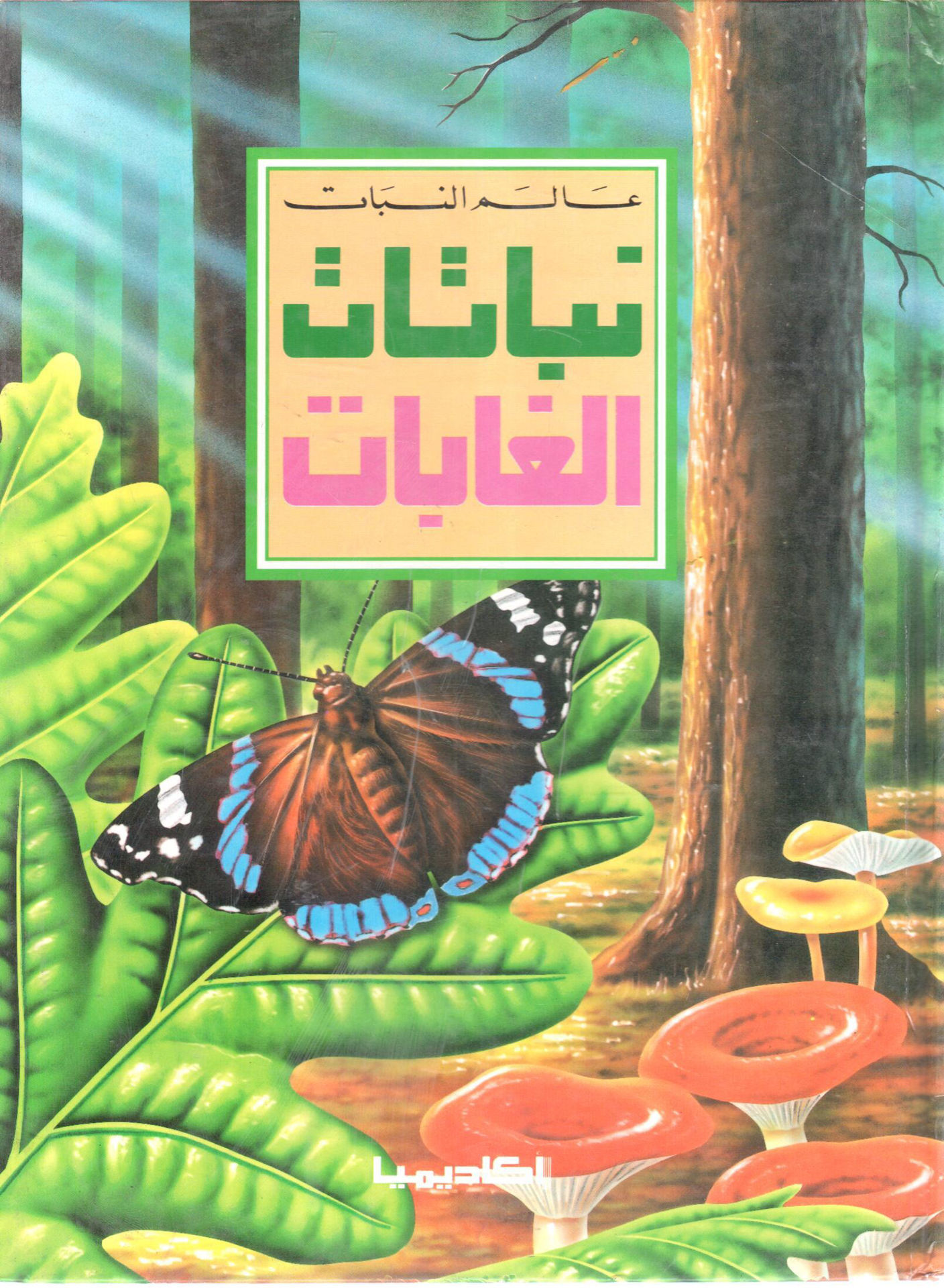 Forest Plants " Botanist "