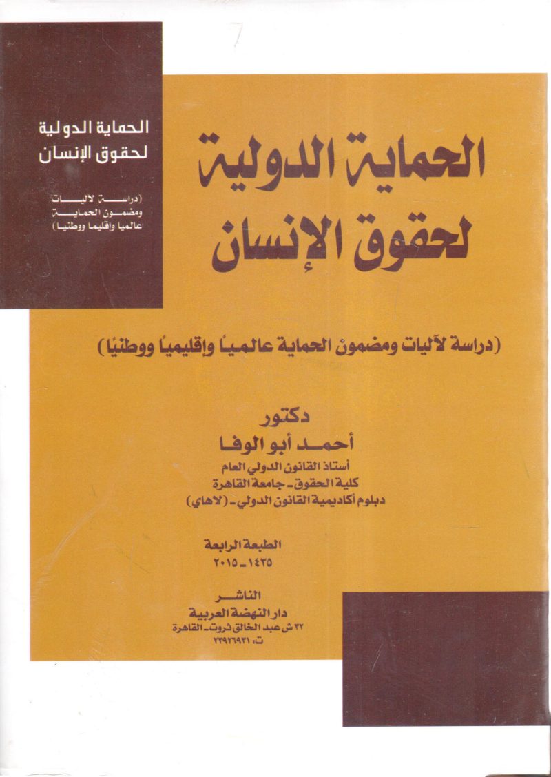 الحماية الدولية لحقوق الإنسان