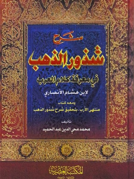 شرح شذور الذهب في معرفة كلام العرب