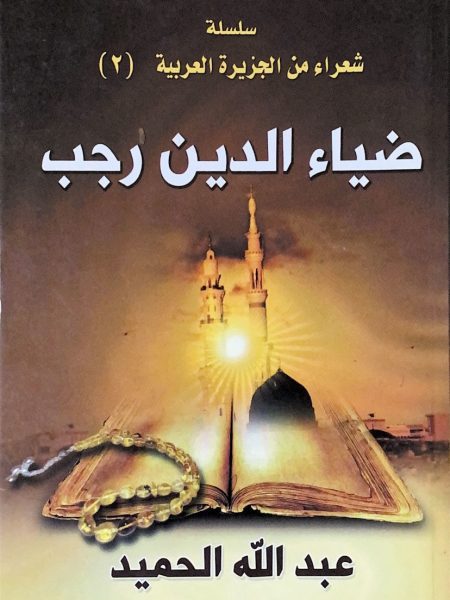 ضياء الدين رجب