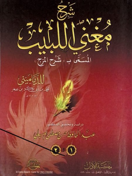 شرح مغني اللبيب - المسمى شرح المزج